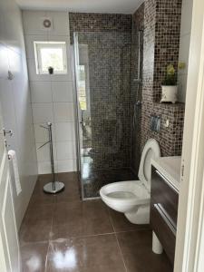 a bathroom with a shower and a toilet and a sink at Hytte på Bersagel in Sandnes +1 photo