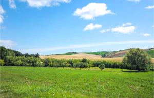 a field of green grass with trees in the background at Agriturismo Le Cannelle in Pieve di Santa Luce