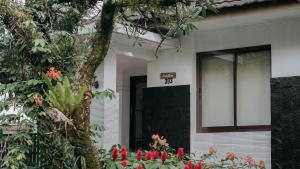 Damar Langit Resort室外花園