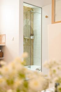 a shower with a glass door in a bathroom at Le Cocon d'Alice - Cosy, calme, central et climatisé in Annecy