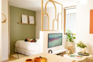 a living room with a bed and a television at Le Cocon d'Alice - Cosy, calme, central et climatisé in Annecy
