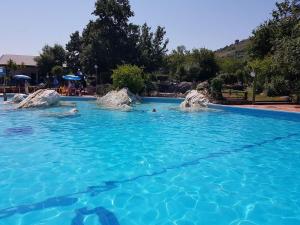 a group of people swimming in a swimming pool at Agriturismo Barbitto in Sezze