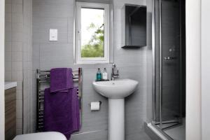 a bathroom with a sink and a toilet and a window at Halekulani Devon Homestay in Torquay
