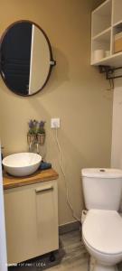 a bathroom with a sink and a toilet and a mirror at Jolie studio in Argenteuil