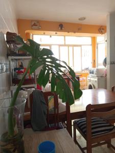 Posezení v ubytování Habitaciones cómodas