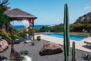 ル・ムルにあるVilla Manika vue merのサボテンとスイミングプール付きの庭園