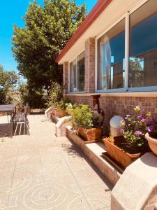a group of potted plants on the side of a house at Casa Tonia in Taranto