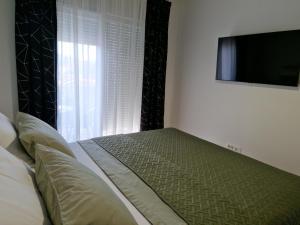 TV a/nebo společenská místnost v ubytování Apartman Metković City