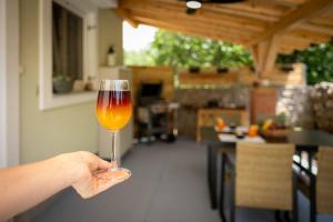 a person holding up a glass of wine at Relaxing Holiday Apartment in Kornić +30 photos