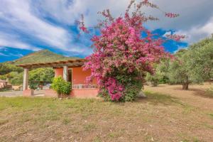 a bush of pink flowers in front of a house at Villino Lampone - Goelba in Lacona