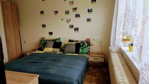 Postel nebo postele na pokoji v ubytování Ubytování Pod Něžnym Obrem