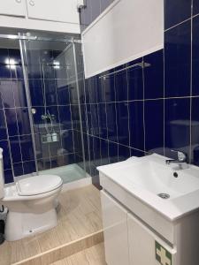 a bathroom with a toilet and a sink and a shower at Ap Centro de Gaia in Vila Nova de Gaia