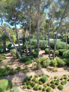 un jardin avec des arbres, des buissons et des plantes dans l'établissement le boreal bord de mer avec piscine, à Saint-Raphaël