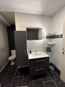 a bathroom with a sink and a toilet at Appartement complet 2 chambres in Hellimer +13 photos