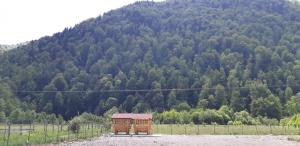 a small building in front of a mountain at Camping Pentru Rulote, Auto Rulote, Corturi Personale La Barbosu in Lepsa, Vrancea in Lepşa