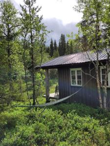 una pequeña cabaña en el bosque con un árbol en Hytte ved innsjø, en Landsem 8 fotos más