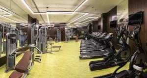 Fitness centrum a/nebo fitness zařízení v ubytování Ramada by Wyndham Sakarya Hotel