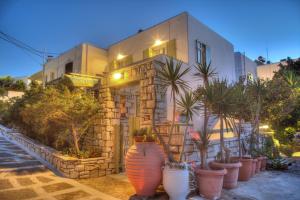 a building with a bunch of potted plants in front of it at Leonardos Apartments in Naousa