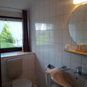 uma casa de banho com um WC, um lavatório e um espelho. em Landgasthof Dockemeyer em Hollenermoor