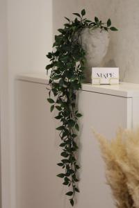 Afbeelding uit fotogalerij van MA PE Luxury Rooms in Split