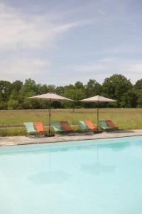 - un groupe de chaises longues et de parasols à côté de la piscine dans l'établissement Maison pour 15 personnes - Piscine - 50 min /Paris, à Poigny-la-Forêt