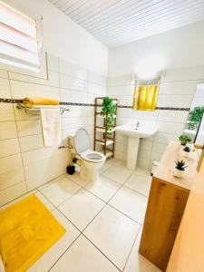 a bathroom with a toilet and a sink at Magnifique haut de villa spacieux campagne,Jacuzzi in Le Lamentin +10 photos