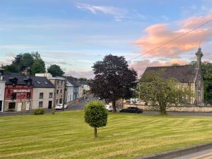 a small tree in the middle of a green field at Riverside Studio Apartment in Donegal