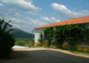 a building with vines growing on the side of it at Quinta do Cerquito in Ferreira do Zêzere
