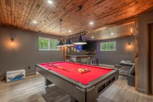 una mesa de billar en una habitación con una pelota de ping pong en Natur Rustik - En pleine nature avec Spa, en Petite-Rivière-Saint-François