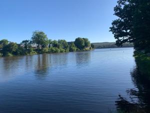 a view of a river with trees on the shore at Gîte La Dame du Lac in Paimpont