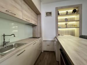 una cucina con un lavello e un piano di lavoro di Apartman Alen a Vela Luka (Vallegrande)