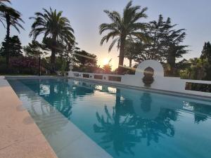 a swimming pool with palm trees in the background at Villa Belle Epoque Saint-Raphaël in Saint-Raphaël