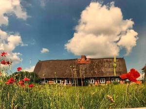 an old house in a field with red flowers at Haus am Fluss und See in Gartow