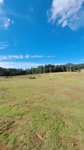an open field with a blue sky and green grass at CABAÑAS KEIKARY campig in Valle de Bravo