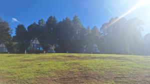 a large grass field with a house in the background at CABAÑAS KEIKARY campig in Valle de Bravo