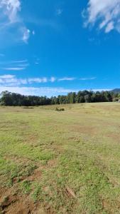 a field of grass with trees in the background at CABAÑAS KEIKARY campig in Valle de Bravo