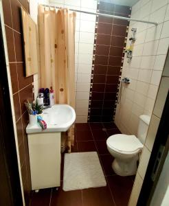 Баня в 1BR Апартамент Дейзи - Теди в Бяла