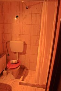 a bathroom with a toilet with a shower curtain at Guesthouse Bizani in Néon Bizánion +10 photos