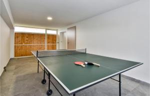 a ping pong table in the middle of a room at Pet Friendly Home In Kostanjevac in Kostanjevac