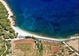 an aerial view of a beach and the ocean at Apartment Karla in Splitska
