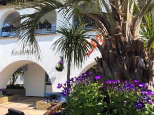 a courtyard with a palm tree and purple flowers at Villa 118 Dawlish Warren in Dawlish Warren