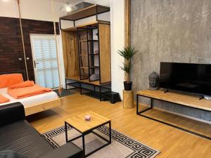 a living room with a couch and a flat screen tv at Apartmán Veronika Blansko in Blansko