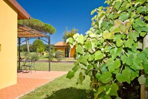 a green bush next to a house with a table at La Fattoria di Tirrenia in Tirrenia