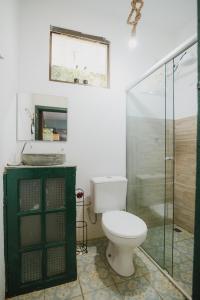 un bagno con wc e doccia in vetro di Pousada Passaredo a Brumadinho
