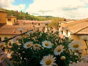 kilka białych kwiatów przed budynkami w obiekcie B&B Grano e Lavanda w Greve in Chianti