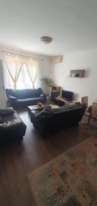 Posezení v ubytování River Apartment