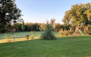 A garden outside Nocciolo