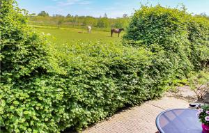 Taman di luar Awesome Home In Udenhout With Wifi +14 gambar
