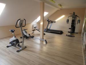 Het fitnesscentrum en/of fitnessfaciliteiten van Villa Ramzes