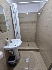 a bathroom with a sink and a shower at Casa Emil in Blaja